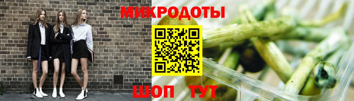 Сухой Лог  Галлюциногенные грибы MAGIC MUSHROOMS  Вход с VPN 